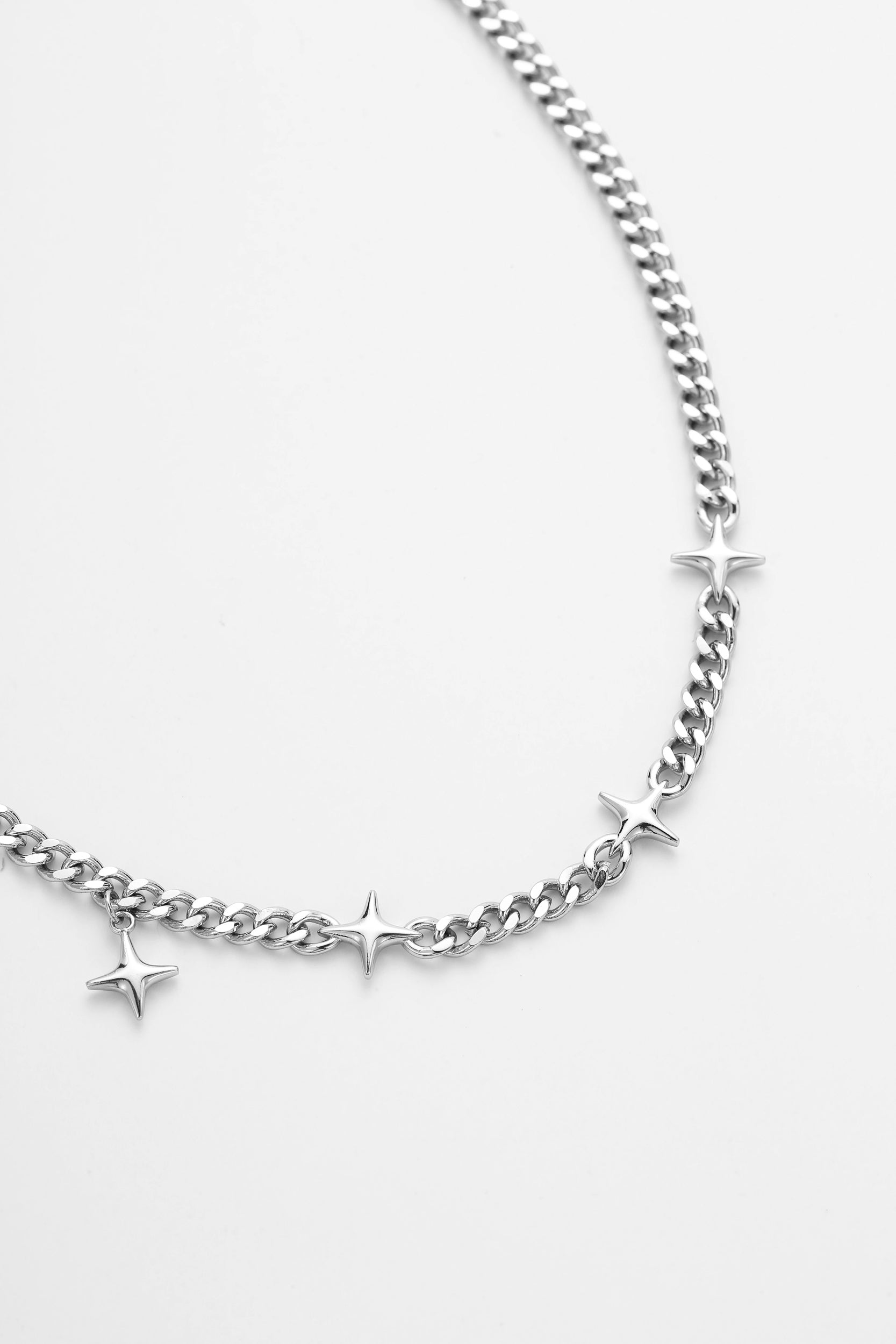 Silver lunaris chain – on white background