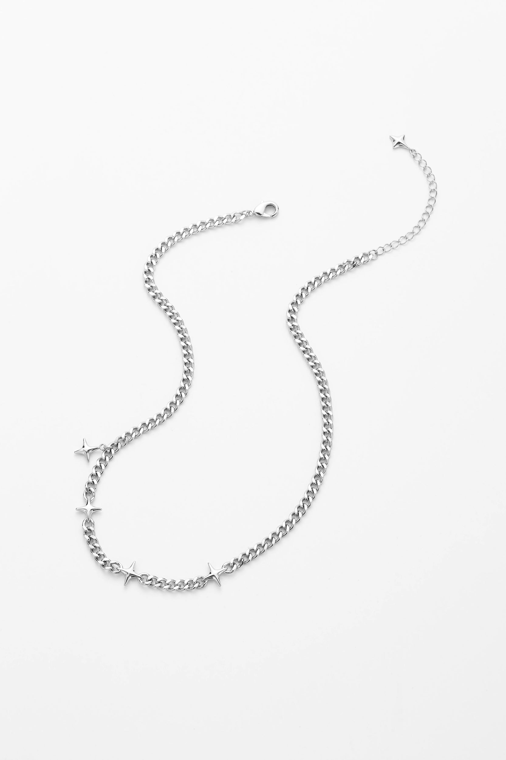 Silver lunaris chain – detail view
