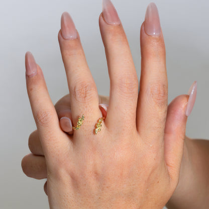 Palace Apothecary Ring